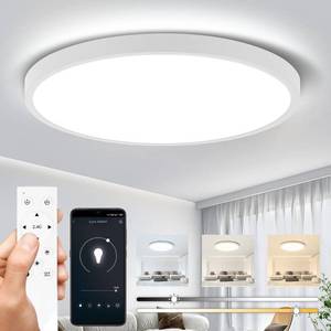 lot 31403 image: CANMEIJIA LED Ceiling Light Fixture with Remote Control, 24W 12In Bedroom Lights for Ceiling, White Ultra Thin Flush Mount Ceiling Lamp, 2700K-6500K CCT, Stepless Dimming, Night Light Mode, 2520 LM