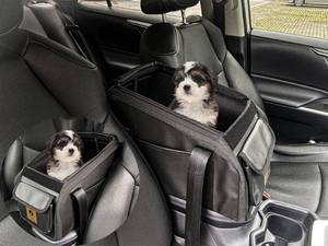 lot 31544 image: Ximei Dog Booster Car Seat ON Car Armrest Center Console Dog Pet Booster Car Seat Dog Cat Travel Seat Puppy Console for SUV Secure Safety Seat Perfect for Small Dogs Cats (Black Denim)