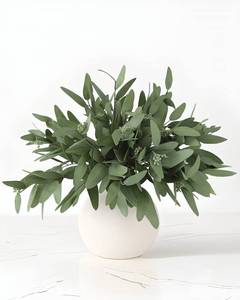 lot 31587 image: ANNIE&PANDA 3 Pack Faux Real Touch Artificial Eucalyptus Stems with Seeds 31 Tall Fake Plants Leaves Olive Tree Branches Faux Greenery Stems for Bridal Wedding Bouquet Vase Table Centerpiece Decor