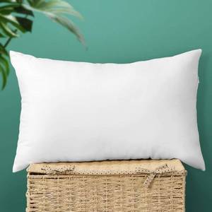 lot 31744 image: OTOSTAR Throw Pillow Insert Premium Pillow Stuffer Sham Rectangle Cushion Stuffer for Decorative Cushion Bed Couch Sofa Decor Pillows Inserts 16x24 Inch (Pack of 1)
