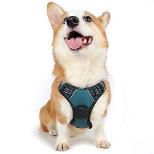 lot 31798 image: rabbitgoo Dog Harness, No-Pull Pet Harness with 2 Leash Clips, Adjustable Soft Padded Dog Vest, Reflective No-Choke Pet Oxford Vest with Easy Control Handle for Medium Dogs, Blue Coral, M