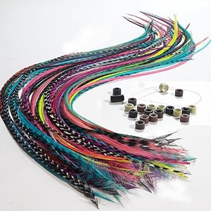 lot 31806 image: Feather Hair Extensions, 100% Real Rooster Feathers, Long Rainbow Colors, 20 Feathers with 20 Beads and 1 Loop Tool Kit, By Sexy Sparkles