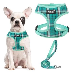 lot 31941 image: PUPTECK Soft Mesh Dog Harness and Leash Set Pet Puppy Cat Comfort Padded Vest No Pull Harnesses, Green, M
