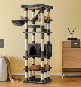 lot 5031 image: MWPO CAT TREE