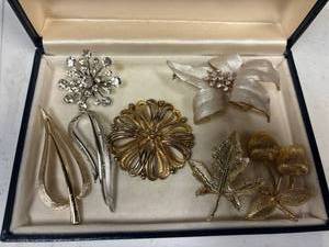 lot 15 image: Salina Kansas jewelry box, with 7 brooches, 2 are Sarah Coventry