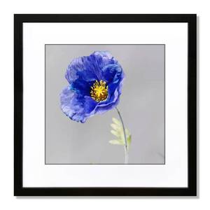lot 61602 image: VNVNK 19in x 19in Frame, Black