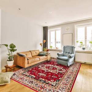 lot 61730 image: DCAIR Bohemian Washable Vintage Area Rug 6x9 Large Persian Non-Slip Rug for Bedroom Living Room Oriental Medallion Non-Shedding Print Floor Carpet for Dining Room RedBlack