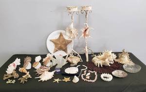 lot 8 image: Vintage Sea Shell Decor & Jewelry - Star Fish, Conch, Sand Dollars and Carved Onyx Fish - Necklace, Ankle Bracelet, Candle Stands & Shell Dishes