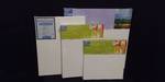 Lot of 4 Painting Canvases