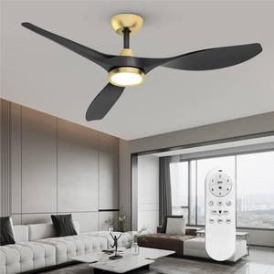 lot 3994 image: Roomratv Ceiling Fans with Lights and Remote, 52 Inch Large Airflow Indoor Ceiling Fans with Quiet DC Motor and 3 Colour Temperature Black Noiseless Attractive Design (Black-Gold)