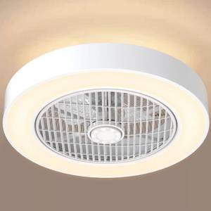 lot 4875 image: DAFOLOGIA Enclosed Ceiling Fans with Lights Remote Control, Low Profile Ceiling Fan Lights Memory Mode, 3 Colors Dimmable LED 6 Speeds, 20 inches, Timing Reversible Blades - White