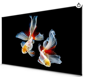 lot 2326 image: ALR Projector Screen 100 Inch