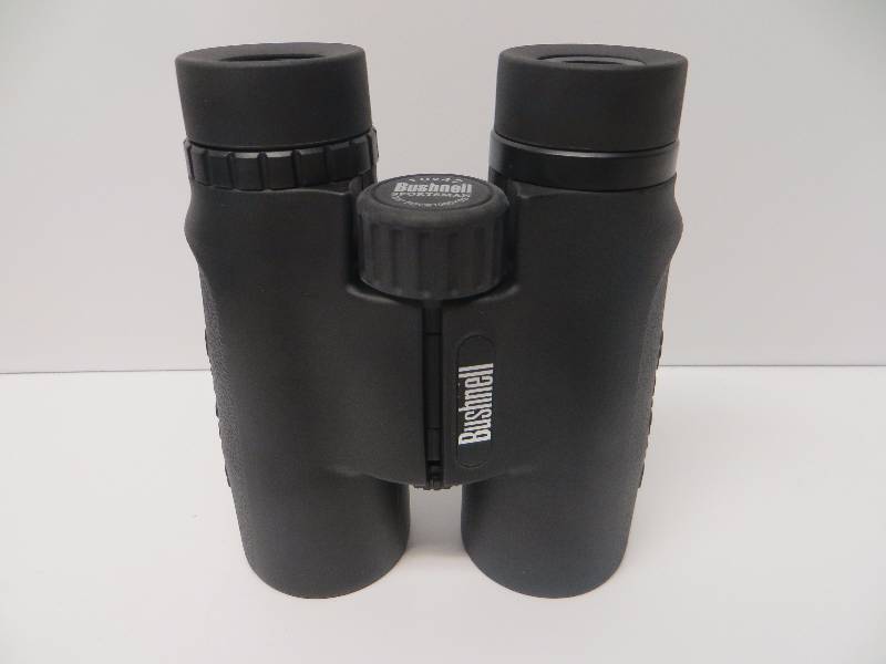 Bushnell sportsman best sale 10x42 305 fov