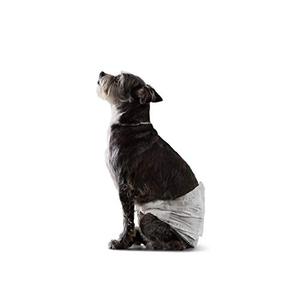 lot 15321 image: Amazon Basics Male Dog Wrap, Disposable Diapers, Small, Pack of 30, White