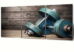 lot 18791 image: 3 Piece, Unframed Canvas Poster, Dumbell (16x24 per Panel)
