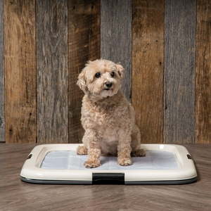 lot 18828 image: Pee Pads Square Pet Training Pad Holder for Dogs, Dark Gray