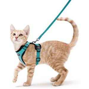 lot 80004 image: rabbitgoo Cat Harness and Leash for Walking, Escape Proof Soft Adjustable Vest Harnesses for Cats, Easy Control Breathable Reflective Strips Jacket, Emerald, S
