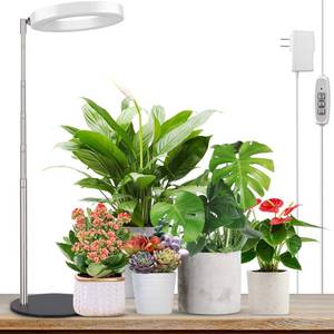 lot 80268 image: LORDEM Grow Light, LED Plant Light for Indoor Plants Growing, Full Spectrum Desk Growth Lamp with Automatic Timer for 4H8H12H, 4 Dimmable Levels, Height Adjustable 9.8-30.6
