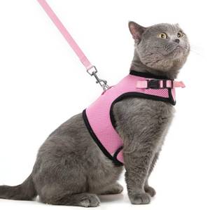 lot 80292 image: PUPTECK Soft Mesh Cat Vest Harness and Leash Set Puppy Padded Pet Harnesses Escape Proof for Cats Small Dogs (Small, Pink)