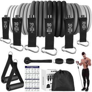 lot 80315 image: Zacro Resistance Bands for Working Out, 270 lbs Heavy Resistance Bands with Handles, Exercise Bands with Door Anchor, Ankle Straps, for Heavy Resistance Training, Shape Body, Yoga, Home Workout