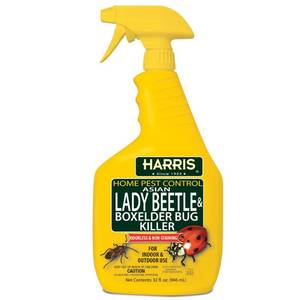 lot 81053 image: Harris Asian Lady Beetle and Box Elder Killer, Liquid Spray with Odorless and Non-Staining Extended Residual Kill Formula (32oz)