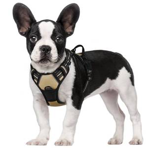 lot 81149 image: rabbitgoo Dog Harness, No-Pull Pet Harness with 2 Leash Clips, Adjustable Soft Padded Dog Vest, Reflective No-Choke Pet Oxford Vest with Easy Control Handle for Small Dogs, Beige, S