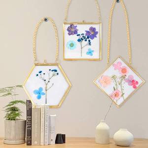 lot 81163 image: MHM Glass Floating Frame for Pressed Flowers - 4x4 (Bundle of (3) 4x4 Hexagon, Diamond, Square) Wall Hanging Double Glass Frame for Dried Wildflowers, Photos, and Postcards