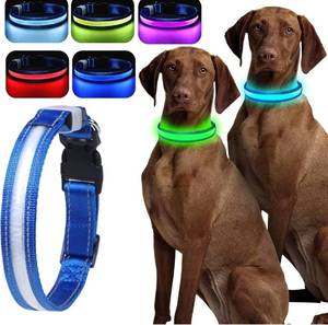 lot 81235 image: LED Light Up Dog Collars - 1600 Feet of High Visibility, 7 RGB Colors & 5 Light Modes Glow Dog Collar USB Rechargeable Water-Resistant for Small Medium Large Dogs (XS, Blue)