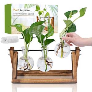 lot 81344 image: Renmxj Plant Propagation Station, Plant Terrarium with Wooden Stand, Unique Gardening Birthday for Women Plant Lovers, Home Office Garden Decor Planter - 3 Bulb Glass Vases