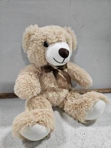 lot 38152 image: Stuffed Teddy Bear