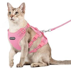 lot 38320 image: Pawfun Fully Escape Proof Cat Harness and Leash Set for Walking, Adjustable Soft Kitten Vest with Reflective Strip for Small Medium Large Adult Cats, Breathable Kitty Harness, Pink M
