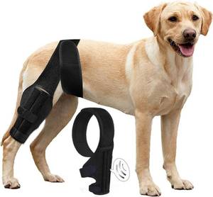 lot 38389 image: Dlevakve Large Dog Knee Brace for Torn Acl Hind Leg for Support with Cruciate Ligament Injury, Better Recovery with Dog Leg Braces for Back Leg