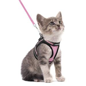 lot 38567 image: rabbitgoo Cat Harness and Leash Set for Walking Escape Proof, Adjustable Soft Kittens Vest with Reflective Strip for Cats, Comfortable Outdoor Vest, Pink, S