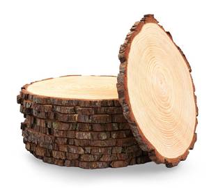 lot 38829 image: Set of (10) 12-13 inch Wood Slices for centerpieces Wood Slice centerpieces, Wood Rounds, Tree Slices, Wood Plate Chargers (12 inch)