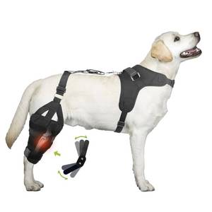 lot 38899 image: KISFLY Dog Knee Brace for Torn ACL Hind Leg Patella Luxating Joint Pain Muscle Sore Dog Leg Braces for Back Leg with Metal Hinge for Better Support and Recovery Both Leg M