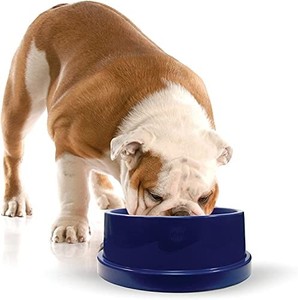 lot 39438 image: K&H Pet Products Coolin Pet Bowl Cooling Dog Bowl Pet Water Dish for Large Medium Small Breed Dogs & Cats, IndoorOutdoor Insulated Ice Cold Dog Bowl - Cooler Blue 96 Ounces