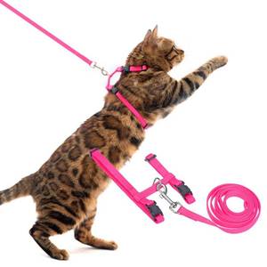 lot 39971 image: PUPTECK Adjustable Cat Harness and Leash Set Escape Proof Kitten Strap Collar for Walking Travel, Hot Pink