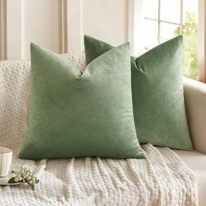 lot 39979 image: MIULEE Pack of 2 Sage Green Pillow Covers 20x20 Inch Decorative Velvet Throw Pillow Covers Modern Soft Couch Throw Pillows Farmhouse Home Decor for Spring Sofa Bedroom Living Room