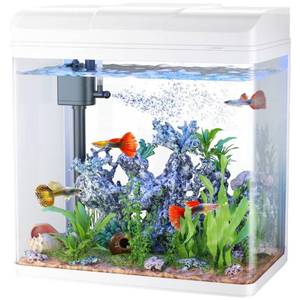 lot 40009 image: PONDON Fish Tank, 3 Gallon Glass Aquarium with Air Pump, LED Cool Lights and Filter, Small Fish Tank for Betta Fish Starter Kit (White)
