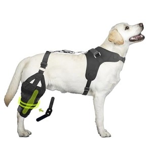 lot 40074 image: KISFLY Dog Leg Braces for Back Leg Luxating Patella Arthritis Joint Pain Dysplasia Dog ACL Knee Brace with Metal Hinge for Better Support and Recovery Both Legs L