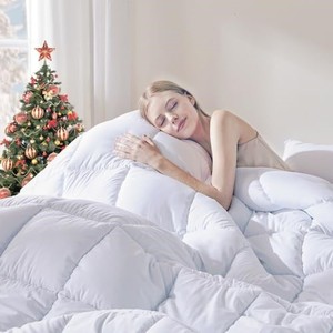 lot 40355 image: DOWNCOOL Comforters Queen Size, Duvet Insert, White All Season Duvet, Lightweight Quilt, Down Alternative Hotel Comforter with Corner Tabs (White, Queen 88x92 Inches)