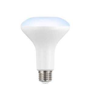 lot 40401 image: 65-Watt Equivalent BR30 Dimmable LED Light Bulb Daylight (6-Pack)
