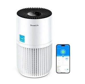 lot 40551 image: GoveeLife Smart Air Purifier Lite