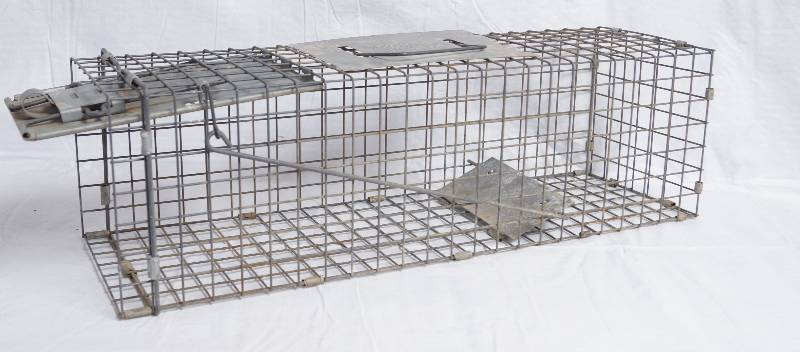 lot 9001 image: Live Animal Trap - HAVAHART - WORKS 24 long x 8 tall x 7 wide