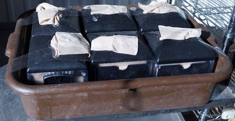 lot 4204 image: Lot of 6 Black Table Napkin Dispensers