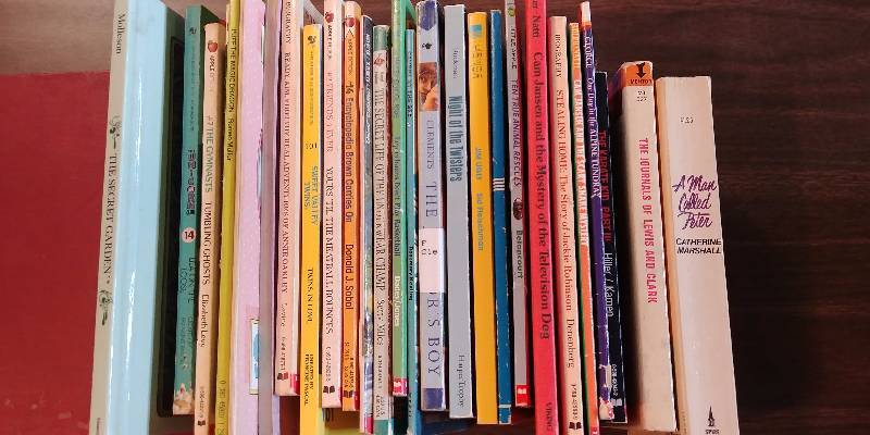 lot 210 image: Adolescent Book Lot