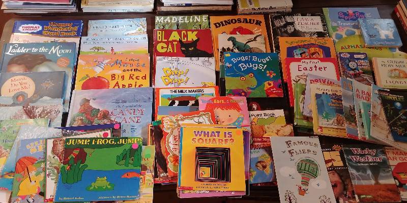 lot 213 image: HUGE Lot of Childrens Books (Elementary Classic Read Alouds)