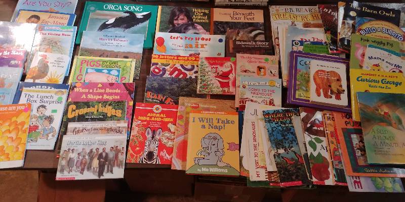 lot 214 image: HUGE Lot of Childrens Books (Teachers Classroom Library)