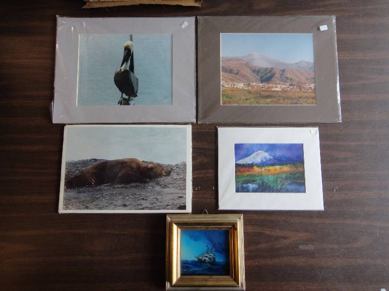 lot 142 image: Hand Signed Photos and Paintings, Nature Wall Art