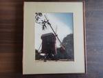 Windmill Framed and Matted Photo